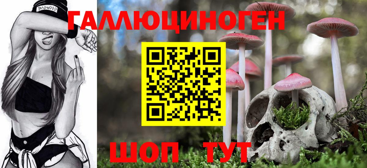 Галлюциногенные грибы прущие грибы  Псилоцибиновые грибы MAGIC MUSHROOMS  Вход с VPN  Берёзовский 
